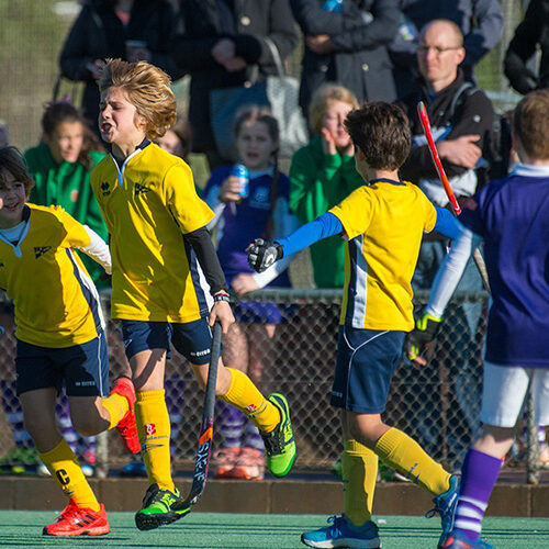 HOCKEY HIERBA INMACULADA