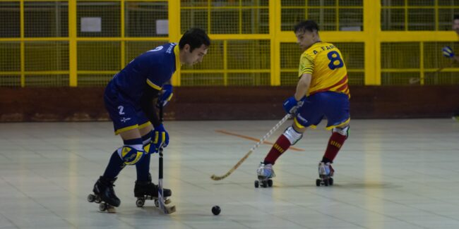 Jolaseta patines 10P_S