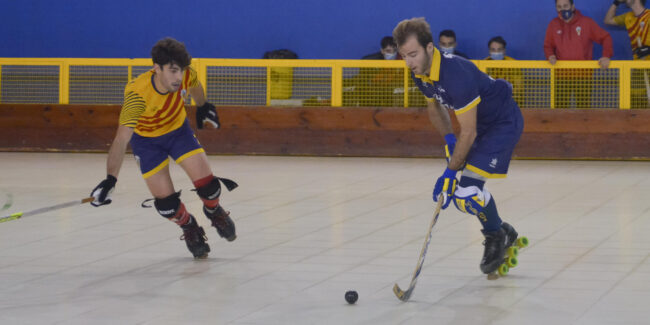 Jolaseta patines 12p_S