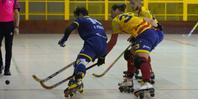 Jolaseta patines 9c_S