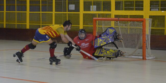 Jolaseta patines 17c_S