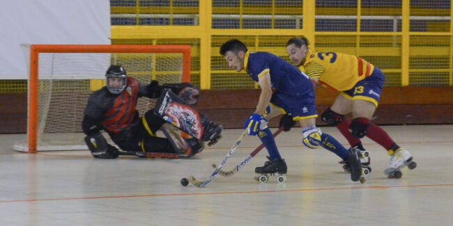 Jolaseta patines17p-S