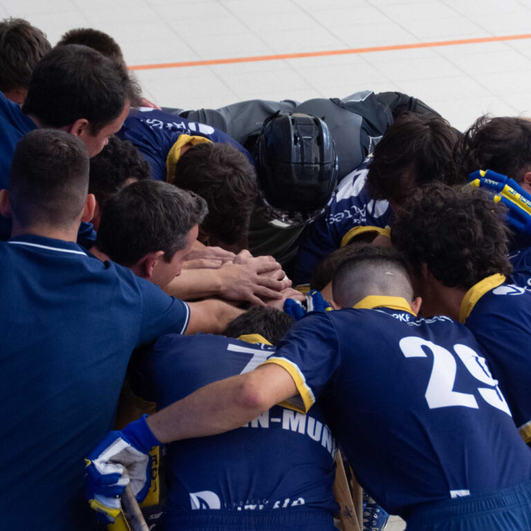 Jolaseta patines 10p_S