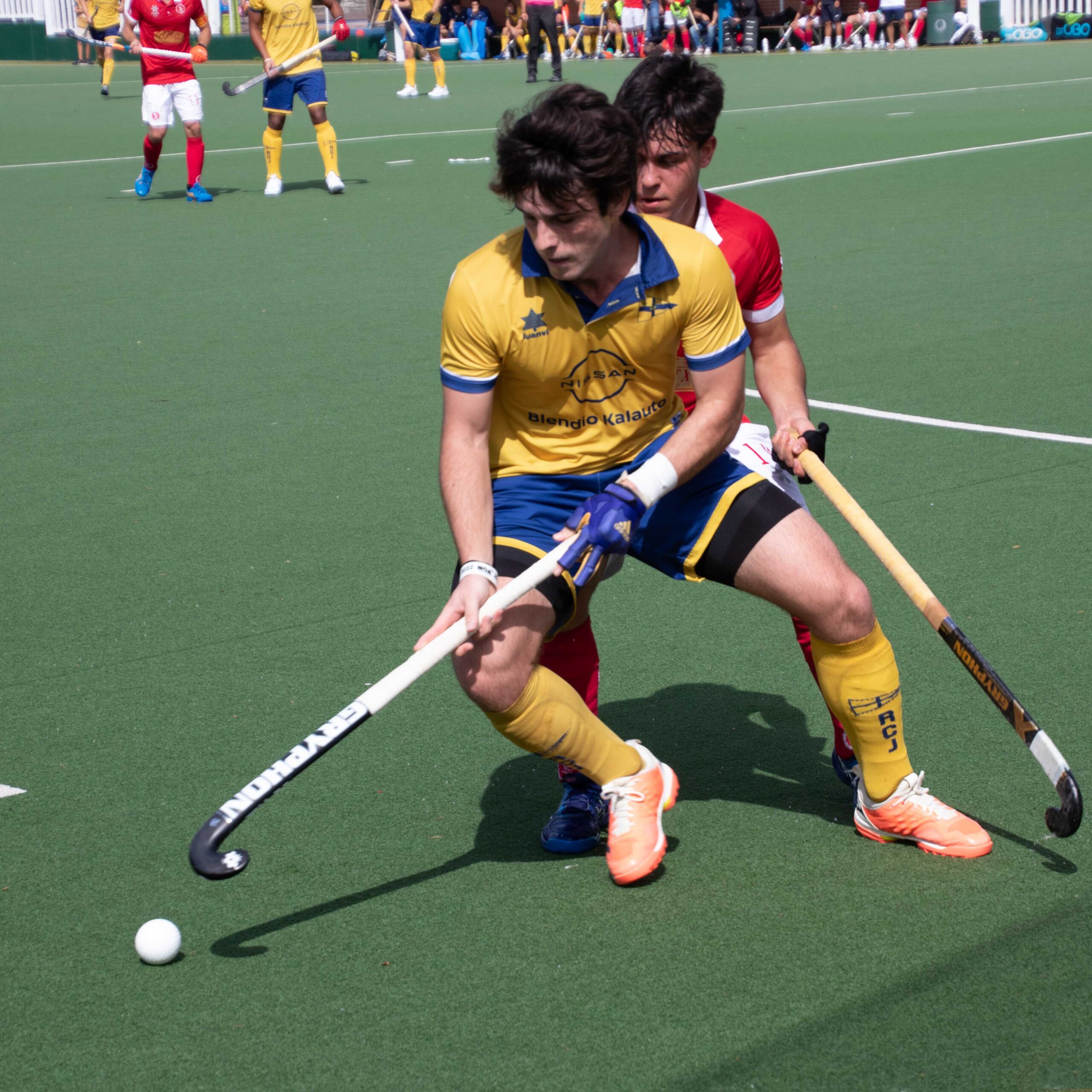 Jolaseta masc 2c (2)