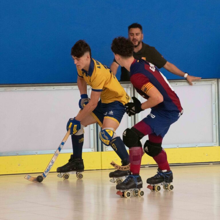 Jolaseta patines 11p_S