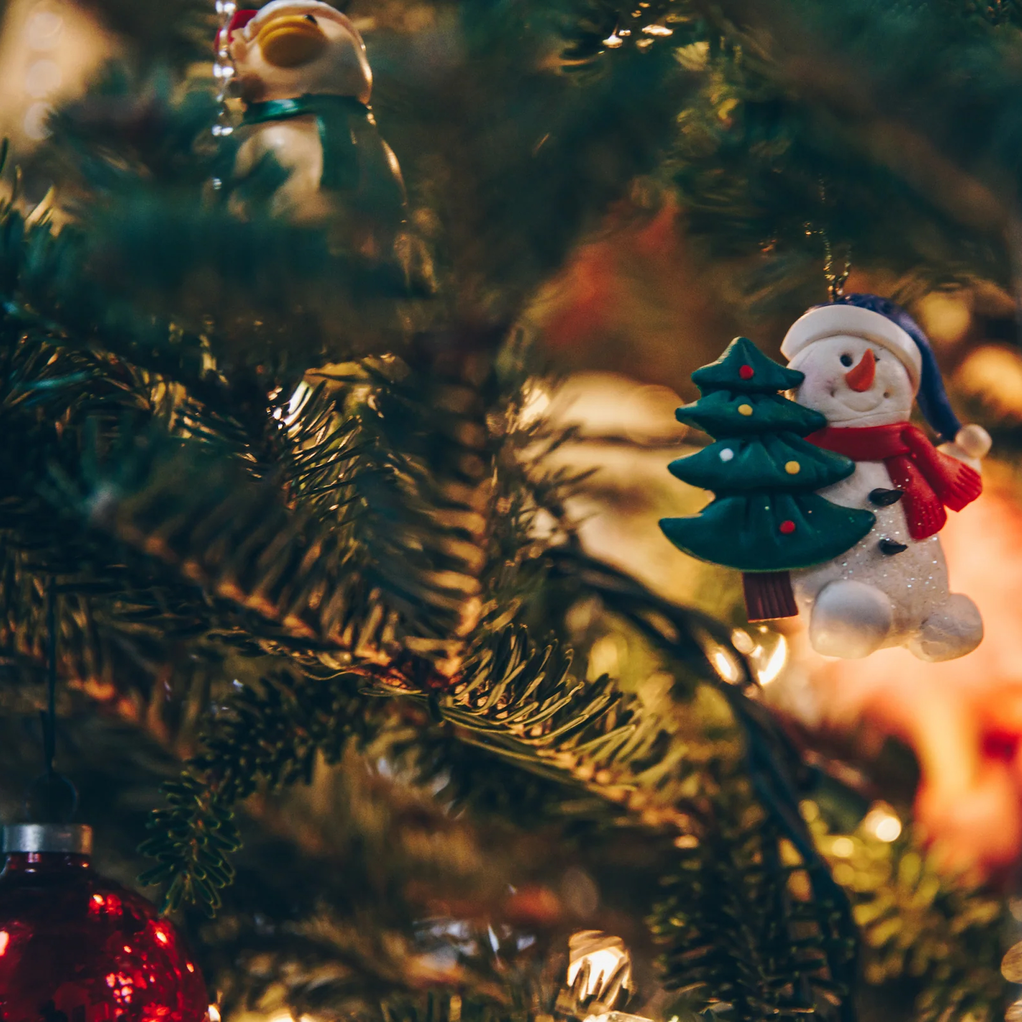 SOCIAL DÍA INICIO DE LA NAVIDAD