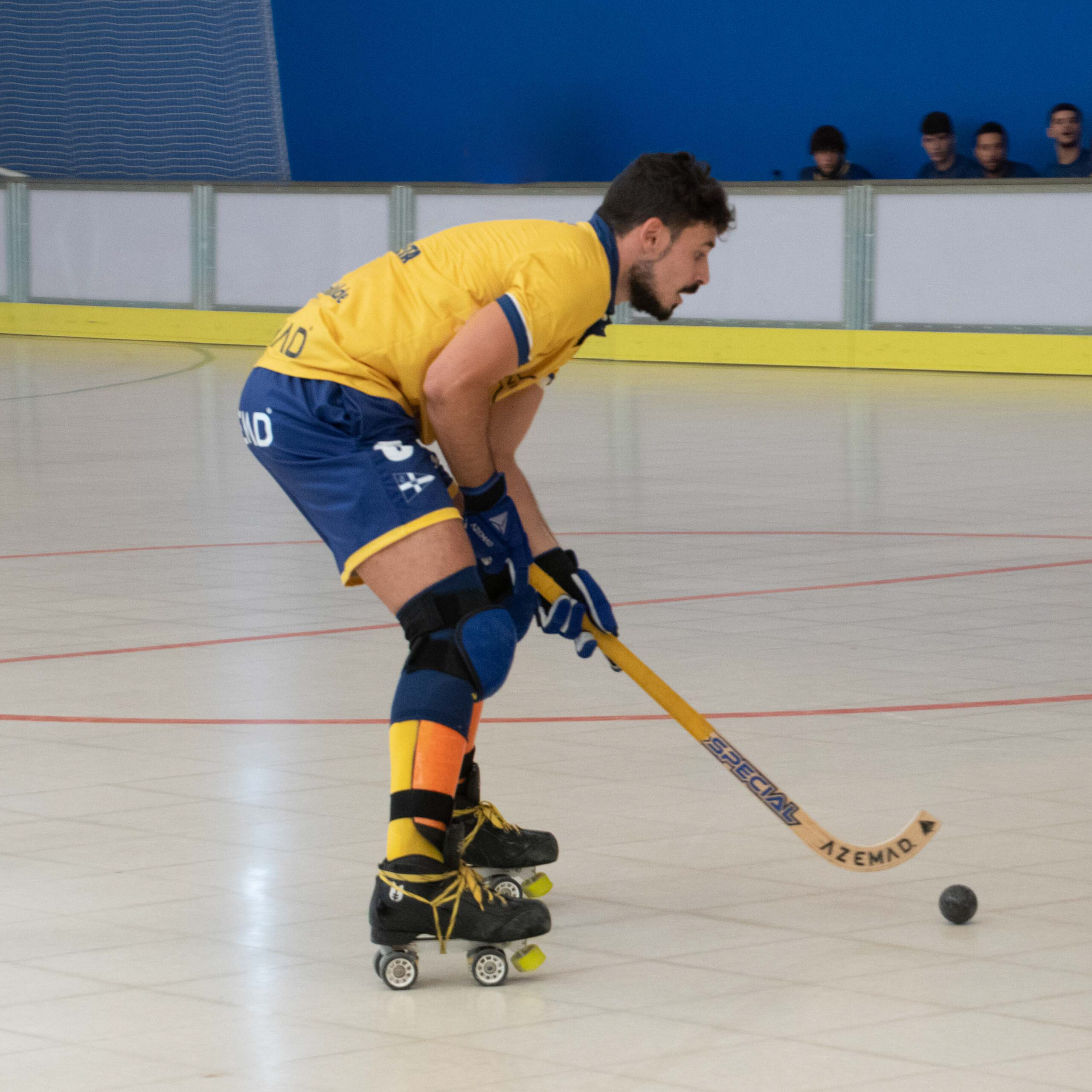 Jolaseta patines 13p (2)