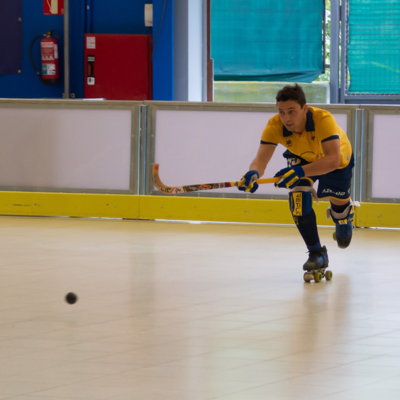 IMG_20240217_103601_394