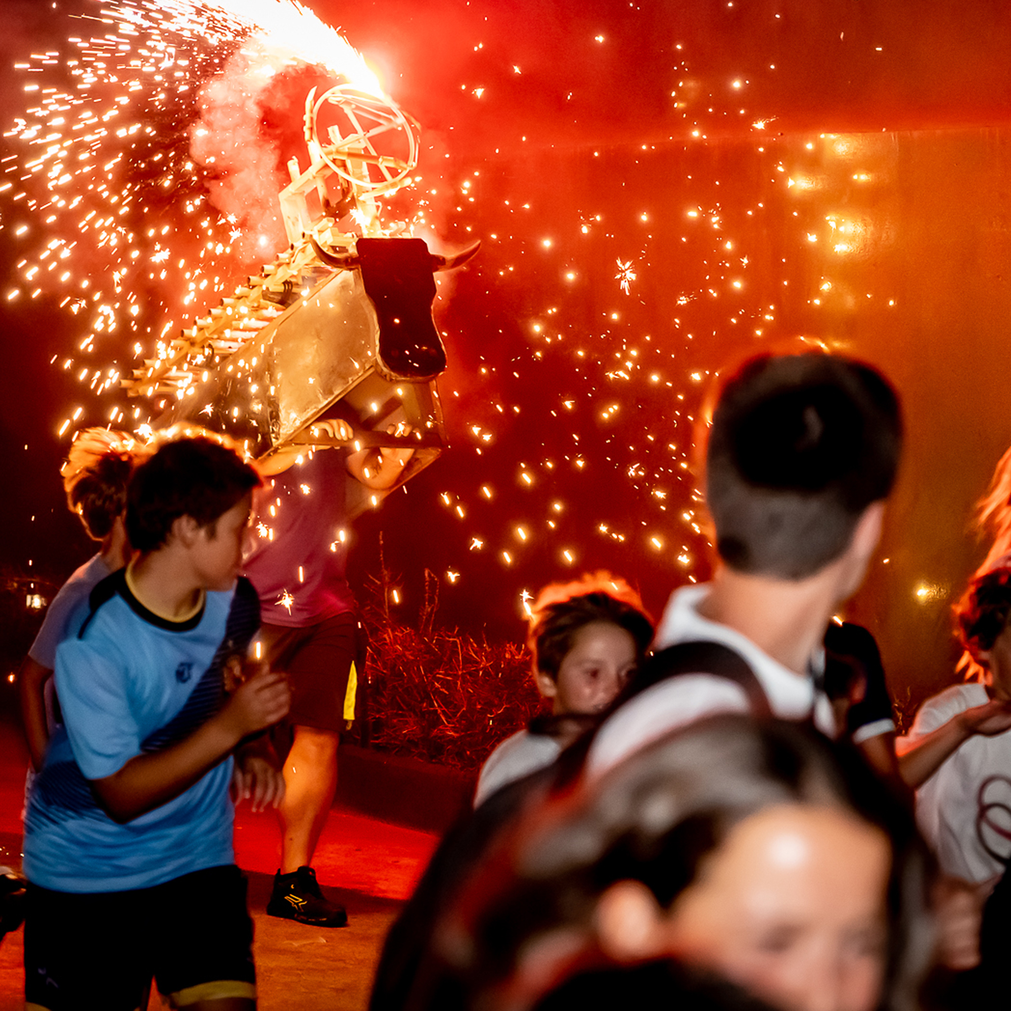 SOCIAL TORO DE FUEGO