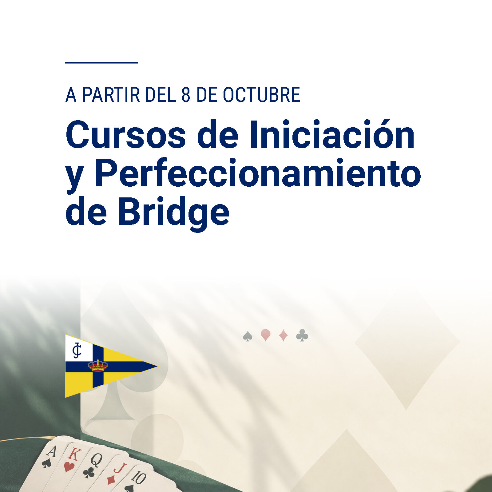 SOCIAL CURSOS DE BRIDGE